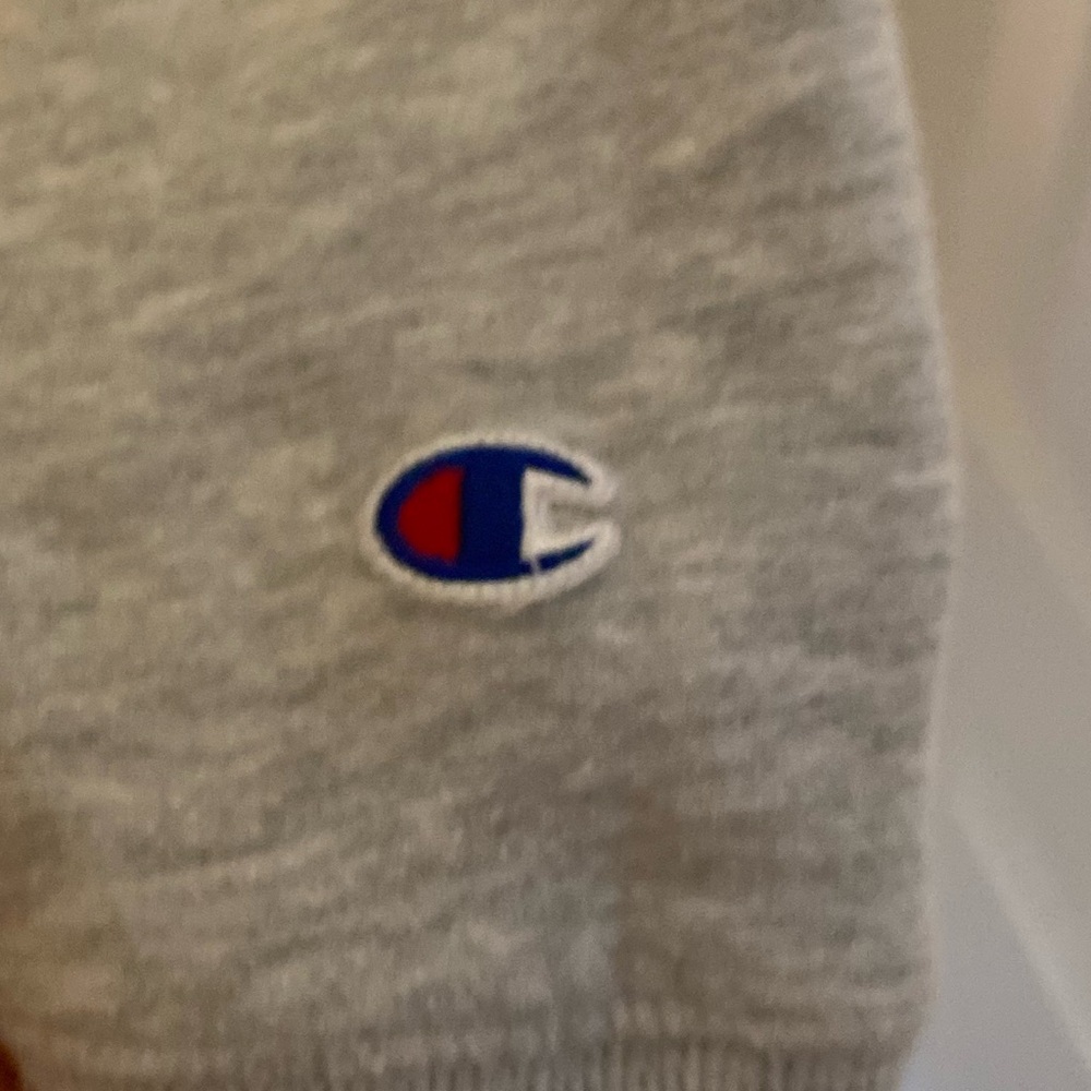 fits smaller than regular large